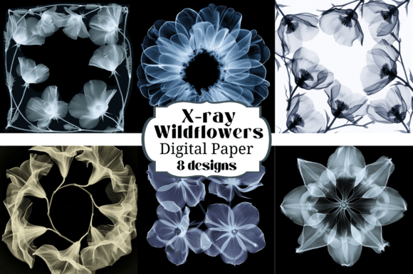 Unlocking Creative Depth with X-ray Wildflower Backgrounds